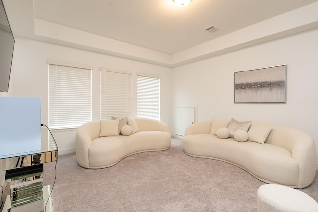 living room featuring carpet floors and a raised ceiling