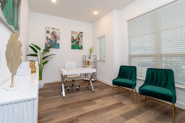 office with hardwood / wood-style floors