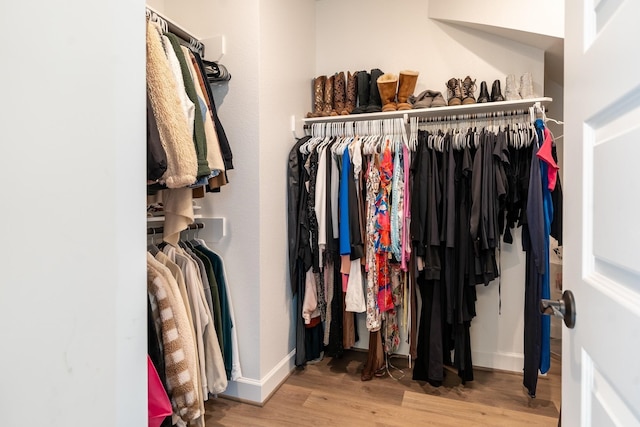 spacious closet with light hardwood / wood-style flooring