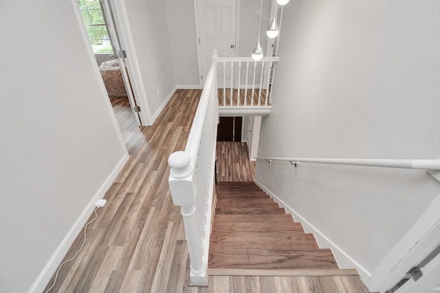 stairway with wood-type flooring