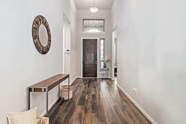 entrance foyer with dark hardwood / wood-style flooring and a towering ceiling