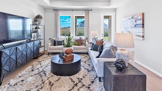 living room with hardwood / wood-style flooring and a tray ceiling