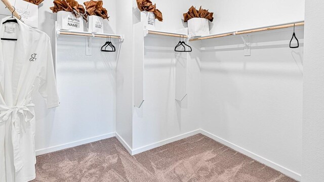 walk in closet featuring carpet floors