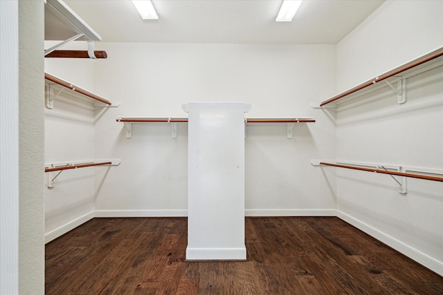 walk in closet featuring dark hardwood / wood-style floors