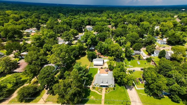 bird's eye view