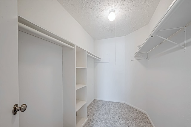 walk in closet featuring carpet floors