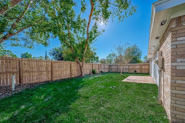 view of yard featuring a patio