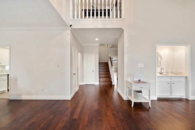 entrance foyer featuring sink, dark wood-type flooring, and ornamental molding