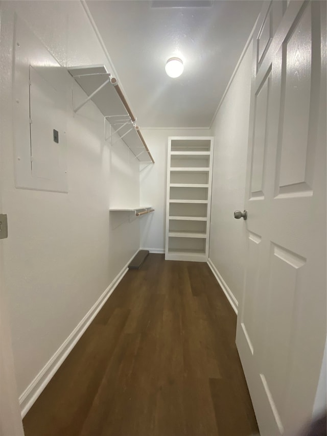 spacious closet featuring dark hardwood / wood-style flooring and electric panel