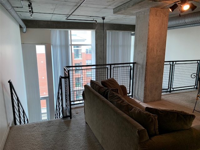 carpeted living room featuring rail lighting