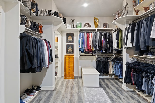 walk in closet with hardwood / wood-style floors