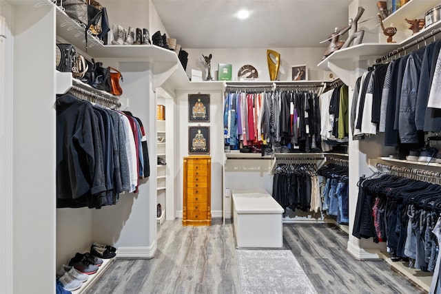 1617 Woodland Valley Dr, Huntsville, TX 77340 - walk in closet with hardwood / wood-style floors