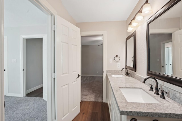 bathroom with wood-type flooring and vanity