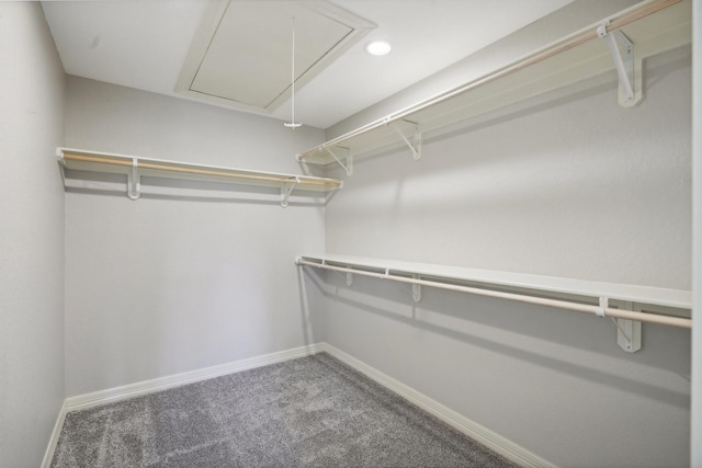 spacious closet with carpet