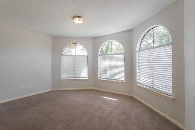 carpeted spare room featuring a textured ceiling