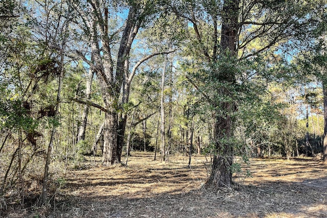 Listing photo 2 for 11.46AC Fm 2296, Huntsville TX 77340