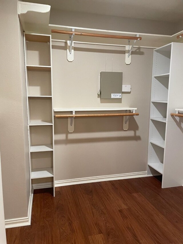 walk in closet featuring dark wood-type flooring