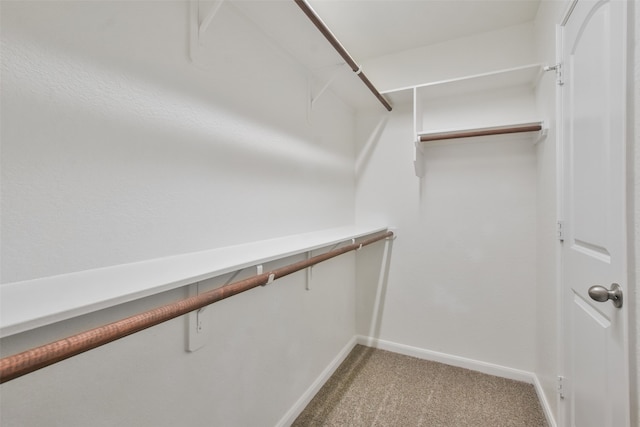 spacious closet with carpet floors