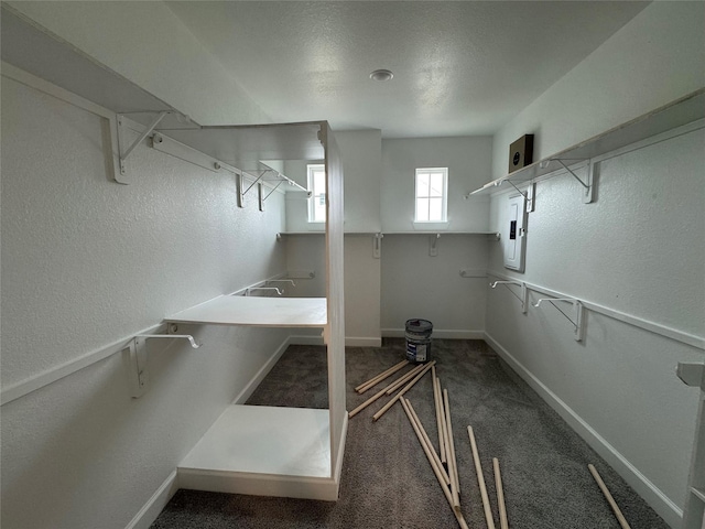 walk in closet featuring electric panel and dark colored carpet