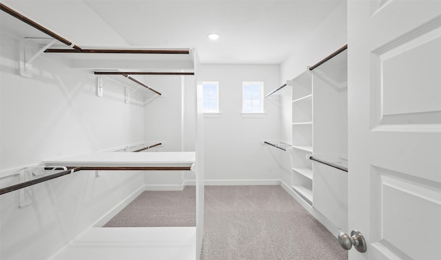 spacious closet with light colored carpet