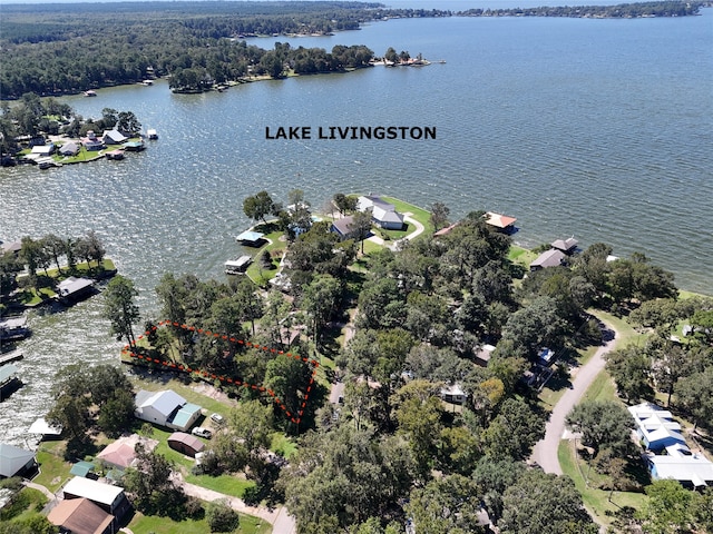 275 S Circle Dr, Livingston TX, 77351 land for sale