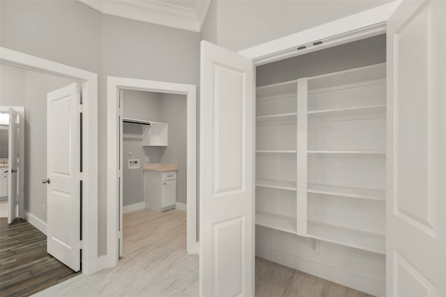 view of closet