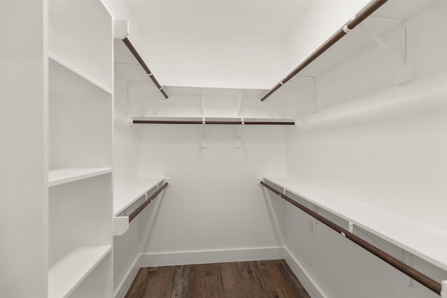 walk in closet with dark wood-type flooring