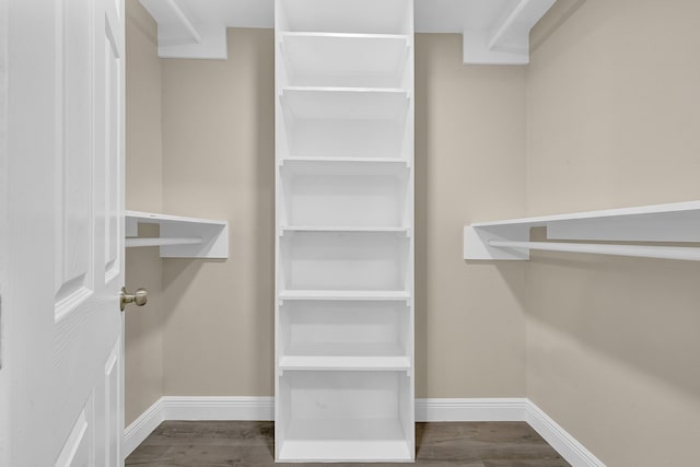 walk in closet featuring hardwood / wood-style floors