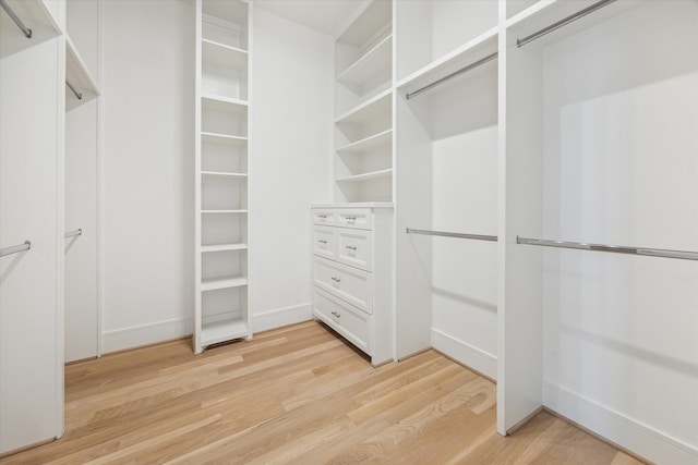 spacious closet with light hardwood / wood-style floors