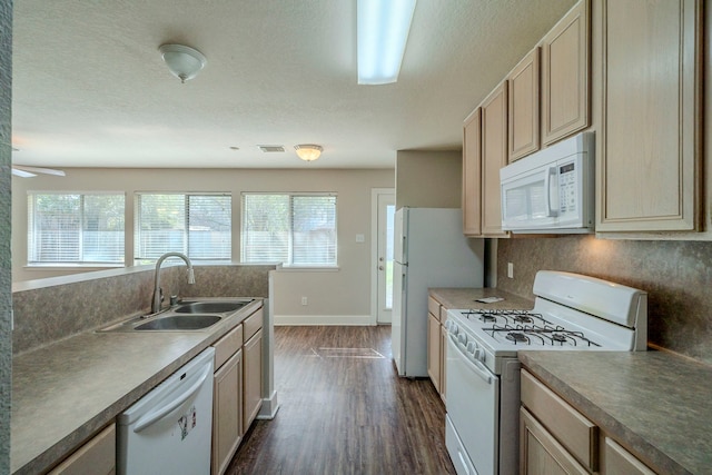 kitchen with dark hardwood / wood-style flooring, sink, a healthy amount of sunlight, and white appliances