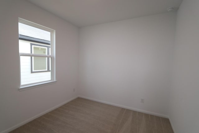 spare room featuring carpet floors