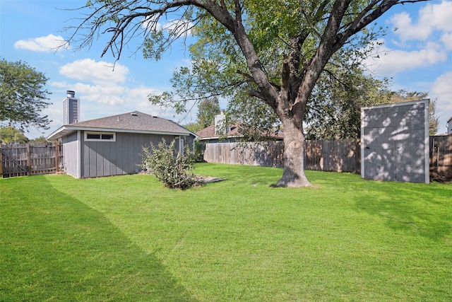 view of yard featuring a storage shed