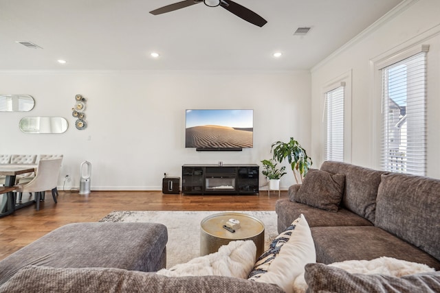 living room with ceiling fan, wood-type flooring, and crown molding