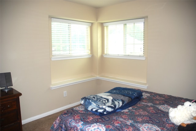 bedroom with carpet flooring and multiple windows