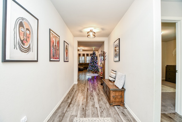 hallway with light hardwood / wood-style floors