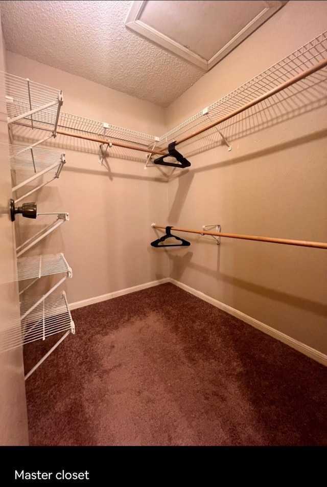 spacious closet with carpet