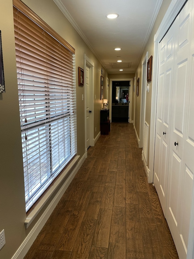 hallway with crown molding and dark wood-type flooring