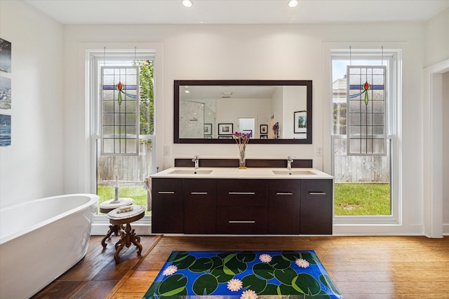 bathroom with a washtub, vanity, a healthy amount of sunlight, and wood-type flooring