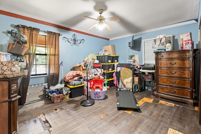 interior space with ceiling fan, wood-type flooring, and ornamental molding