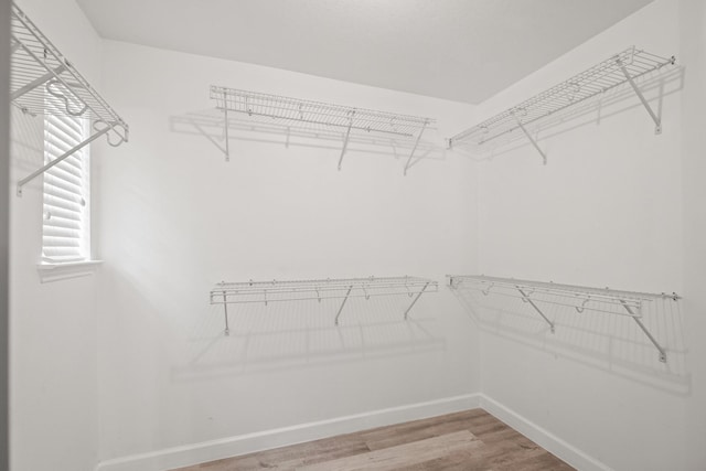 spacious closet featuring hardwood / wood-style flooring