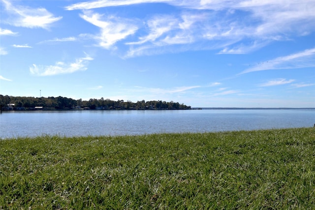 170 Mesa Verde, Livingston, TX 77351 - property view of water