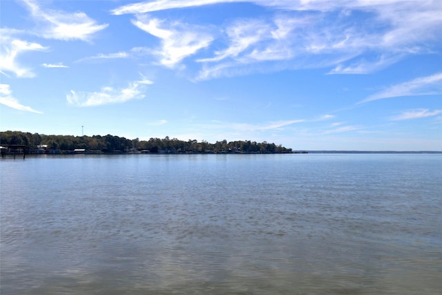 view of water feature