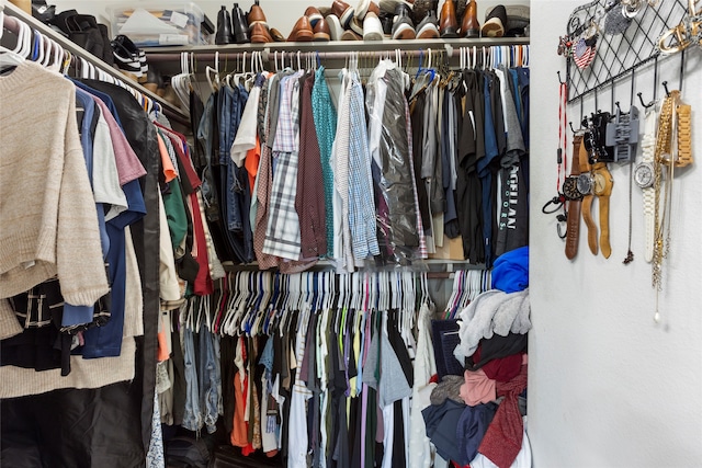 view of spacious closet