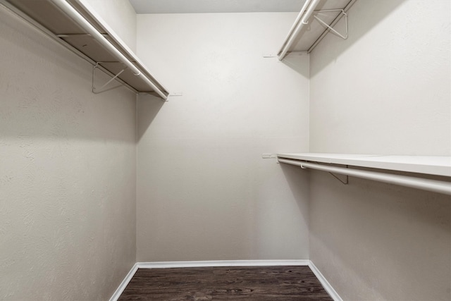 walk in closet featuring hardwood / wood-style floors