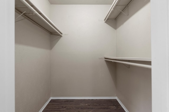 spacious closet with dark hardwood / wood-style floors