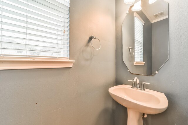 bathroom featuring crown molding and sink