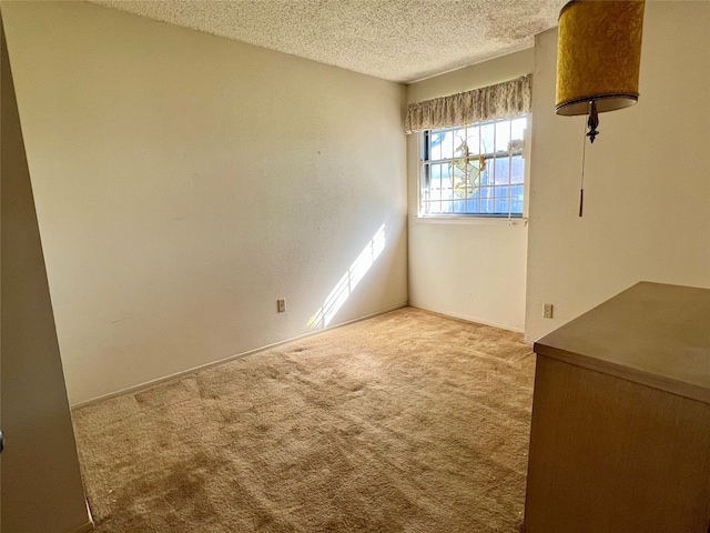 unfurnished room with carpet and a textured ceiling