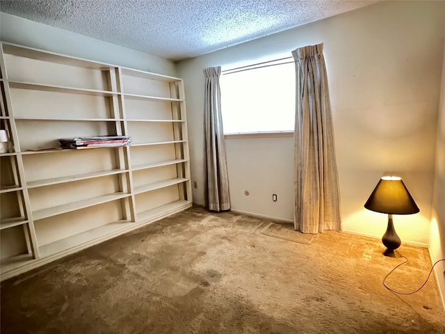 interior space with carpet flooring and a textured ceiling