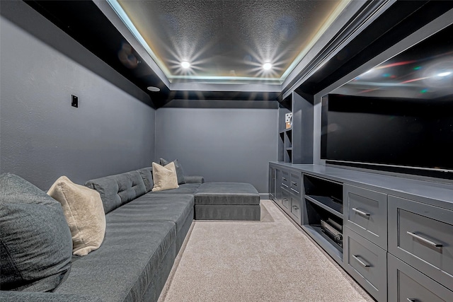 carpeted home theater with a tray ceiling