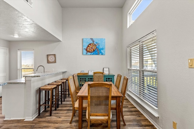 dining room featuring a healthy amount of sunlight, dark hardwood / wood-style flooring, and a textured ceiling